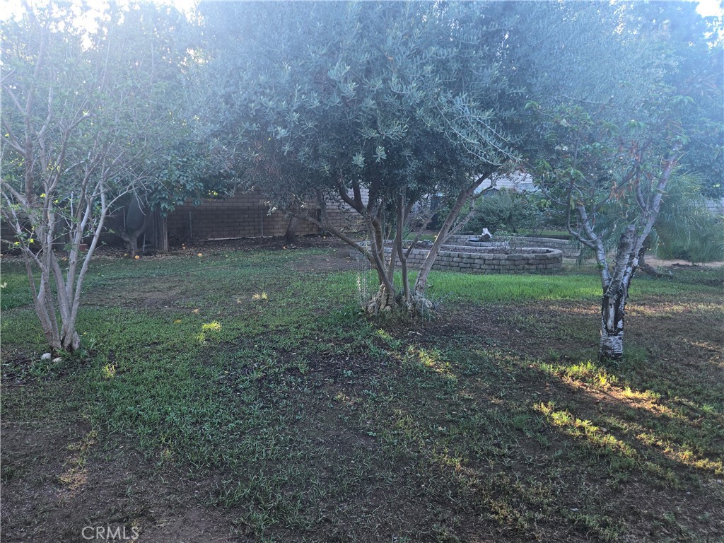 955 Le Conte Drive Property Photo 16