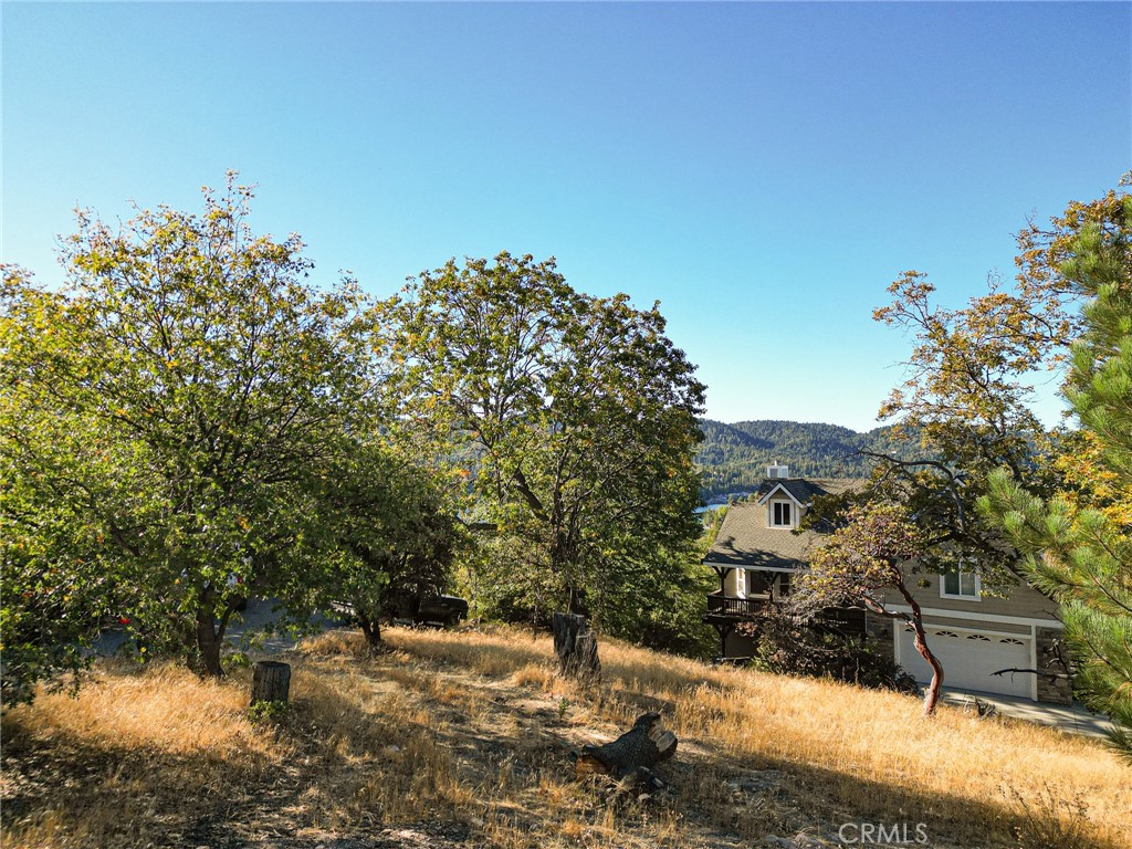 28731 Bryce Dr Property Photo 10