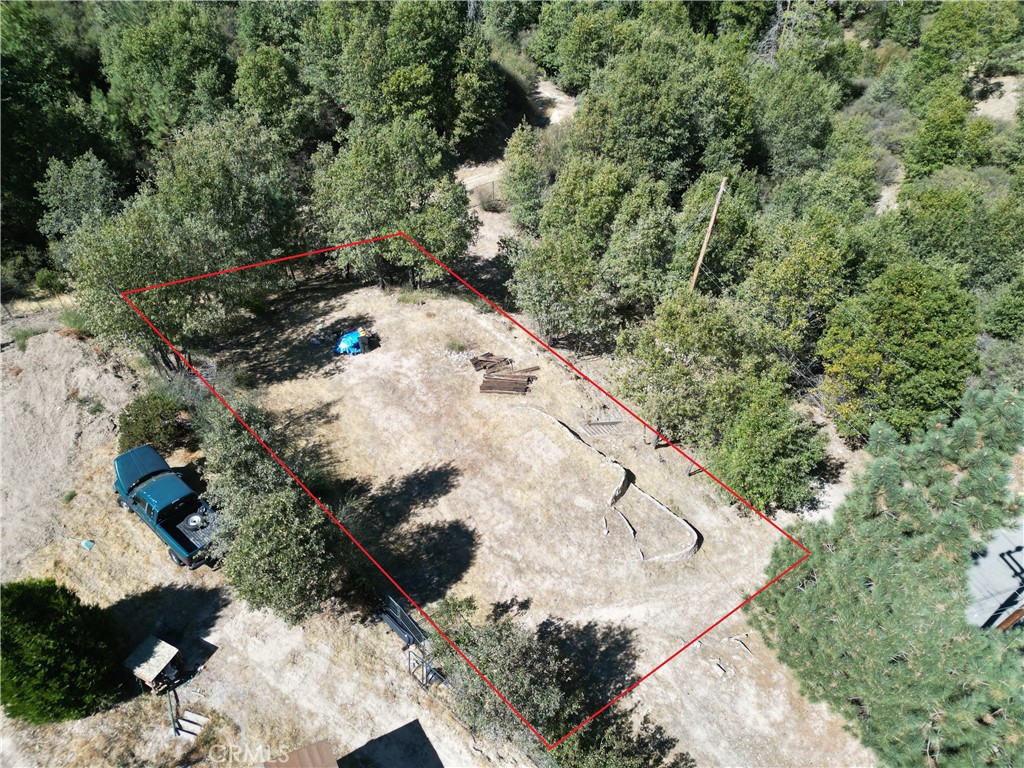 29521 Pineridge Property Photo 2