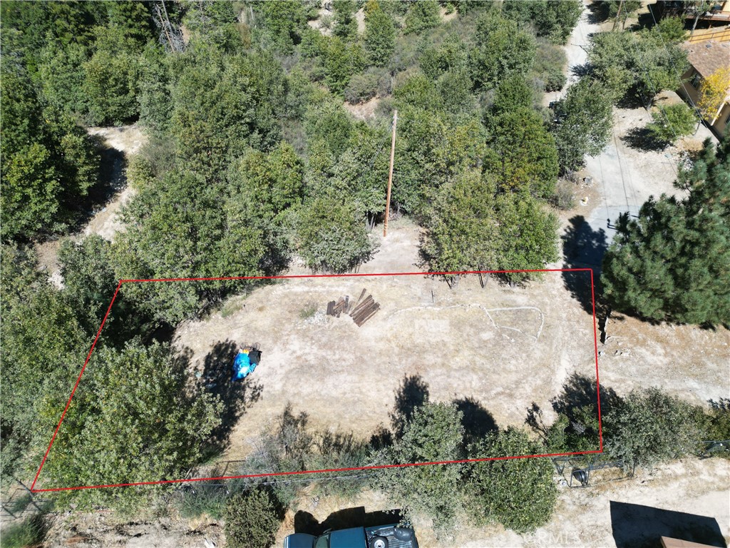 29521 Pineridge Property Photo 3