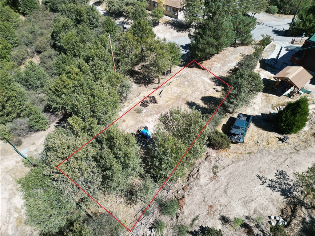 29521 Pineridge Property Photo 4