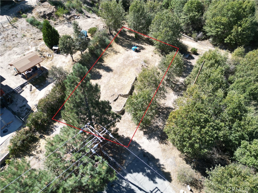 29521 Pineridge Property Photo 8