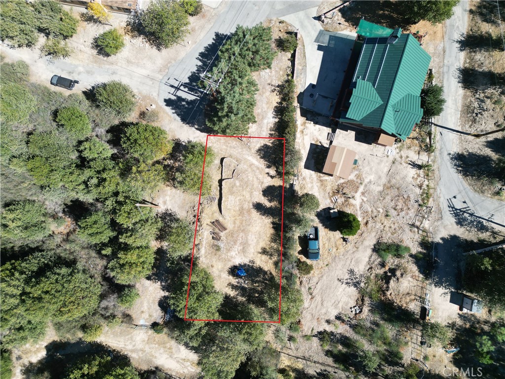 29521 Pineridge Property Photo 11