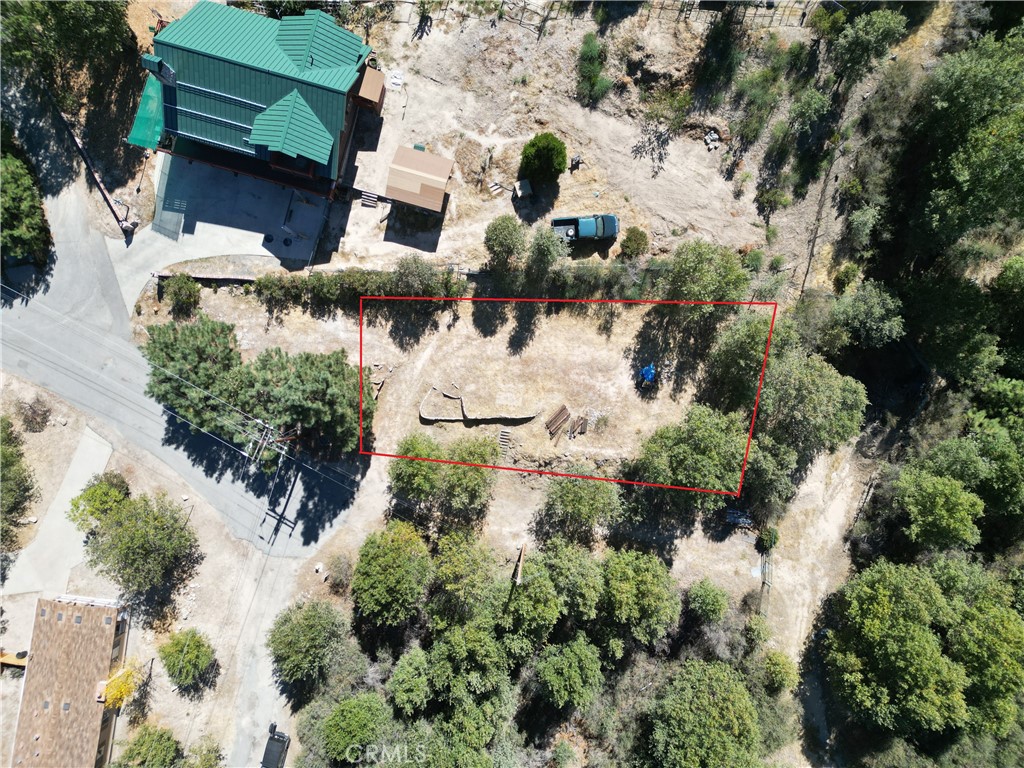 29521 Pineridge Property Photo 12