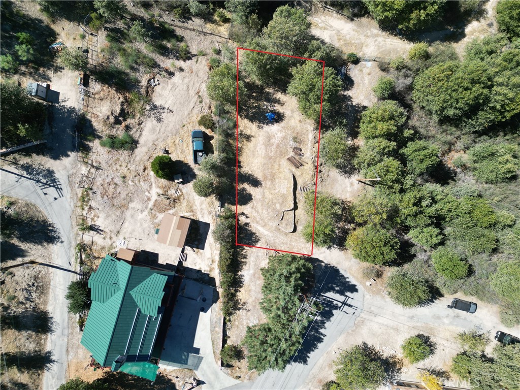 29521 Pineridge Property Photo 13