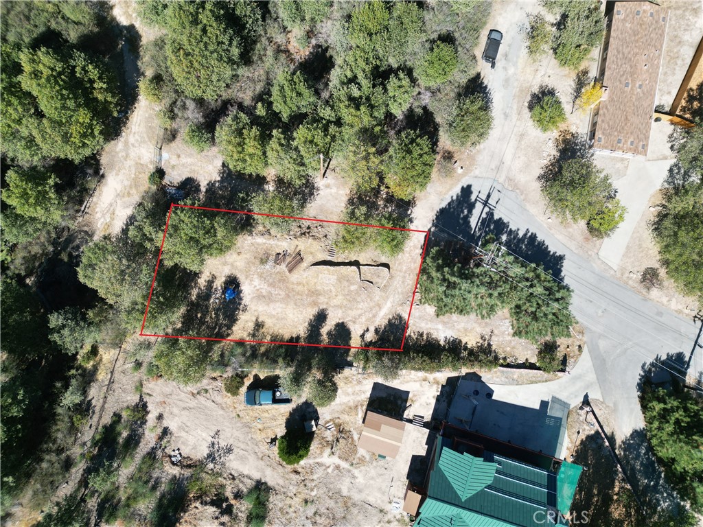 29521 Pineridge Property Photo 14