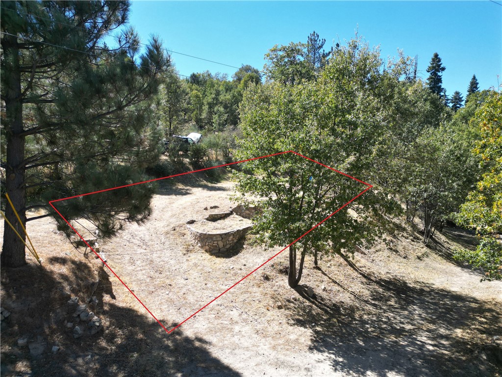 29521 Pineridge Property Photo 15