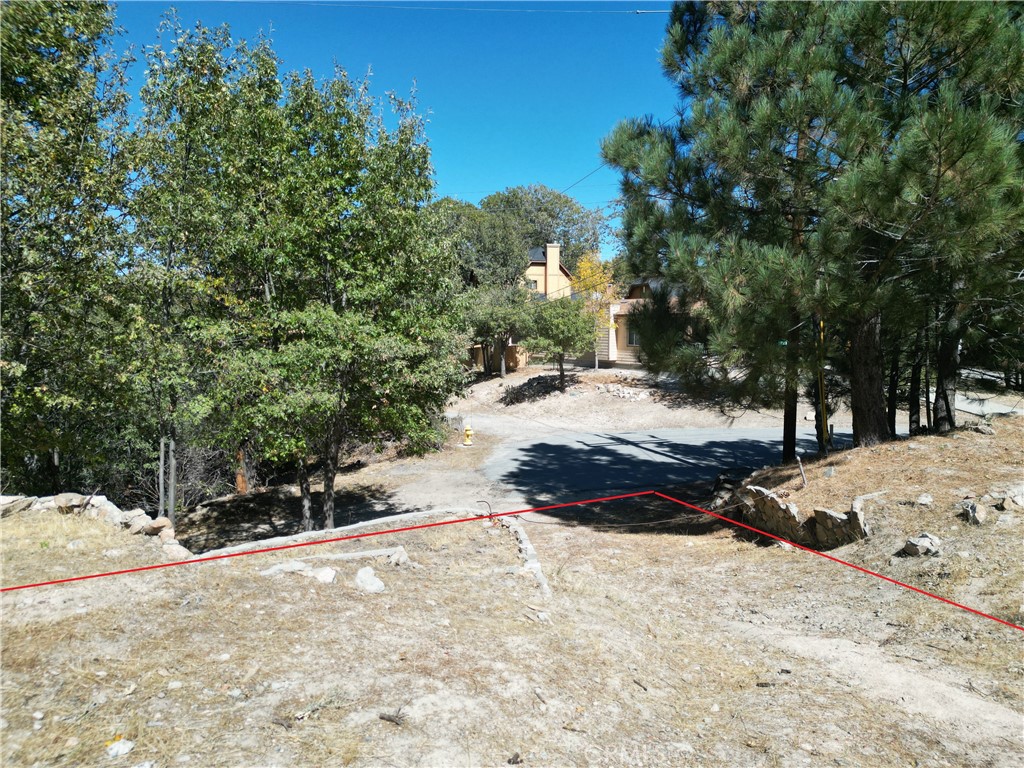 29521 Pineridge Property Photo 16