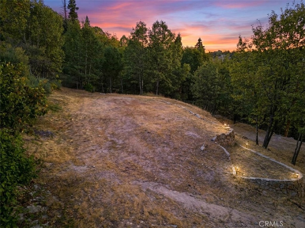 29521 Pineridge Property Photo 17