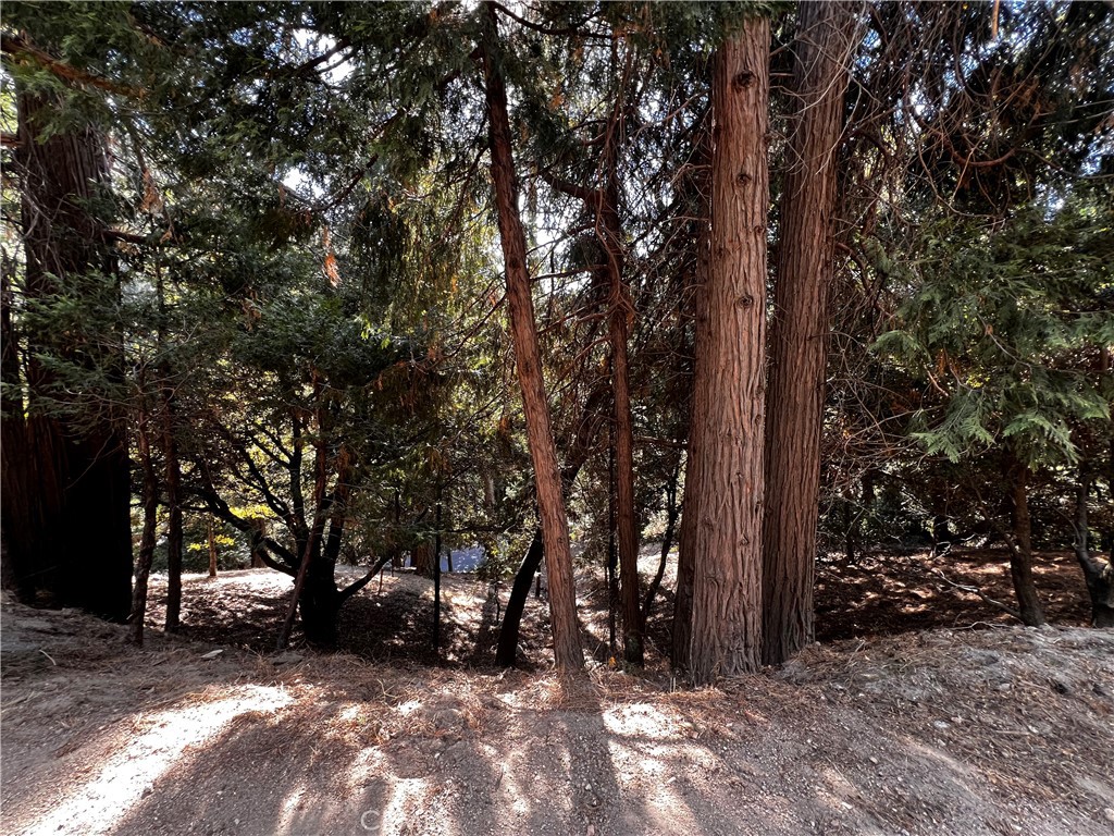 0 Arbula Dr./0 Valle Dr. Property Photo 3