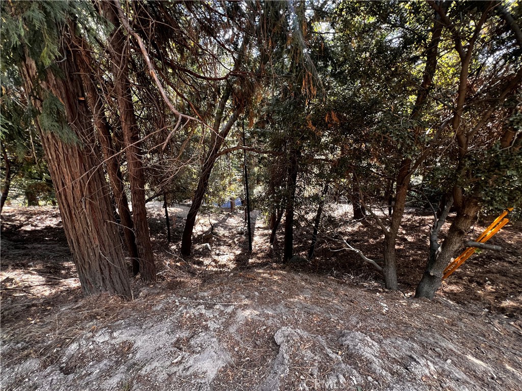 0 Arbula Dr./0 Valle Dr. Property Photo 4
