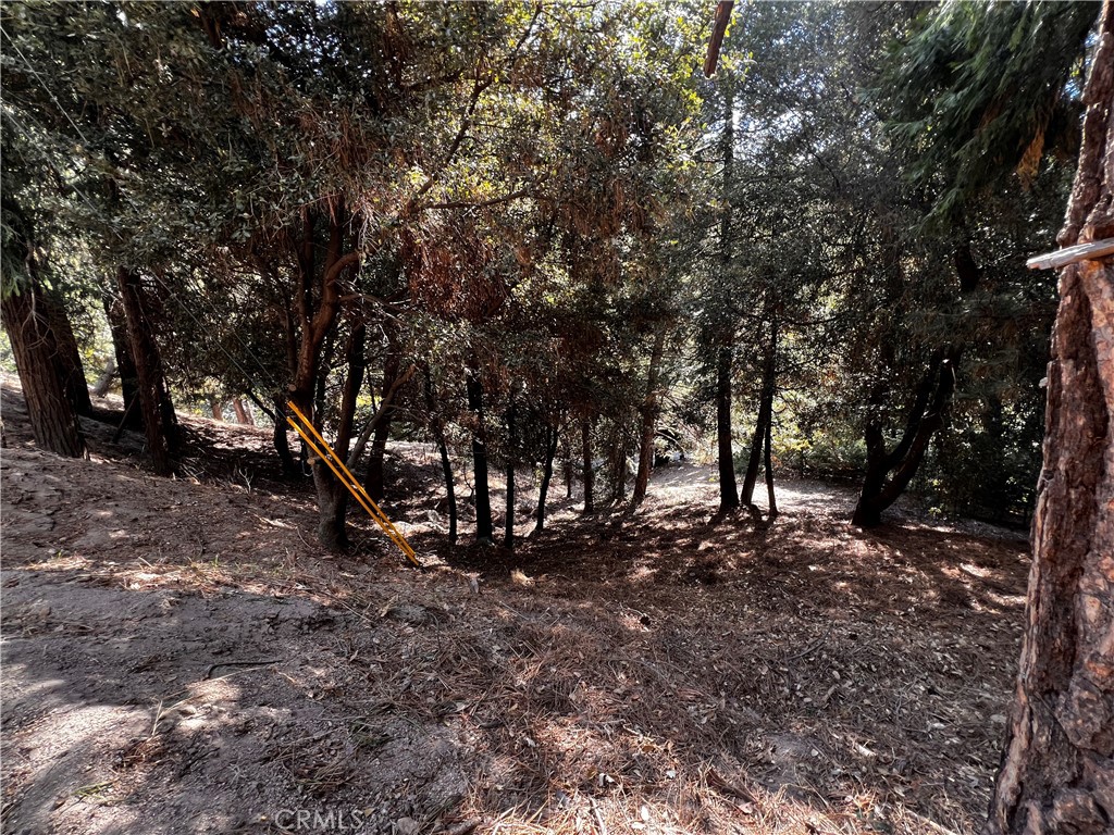 0 Arbula Dr./0 Valle Dr. Property Photo 6