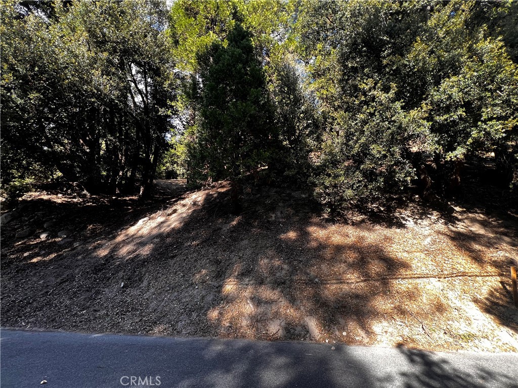 0 Arbula Dr./0 Valle Dr. Property Photo 8