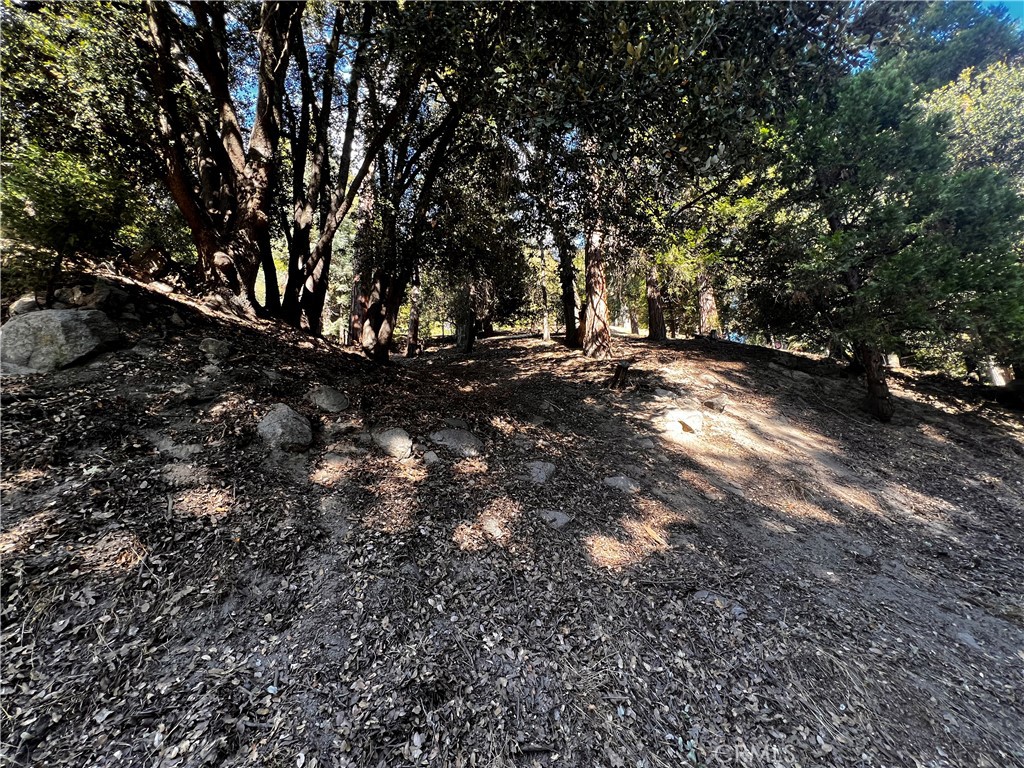 0 Arbula Dr./0 Valle Dr. Property Photo 9