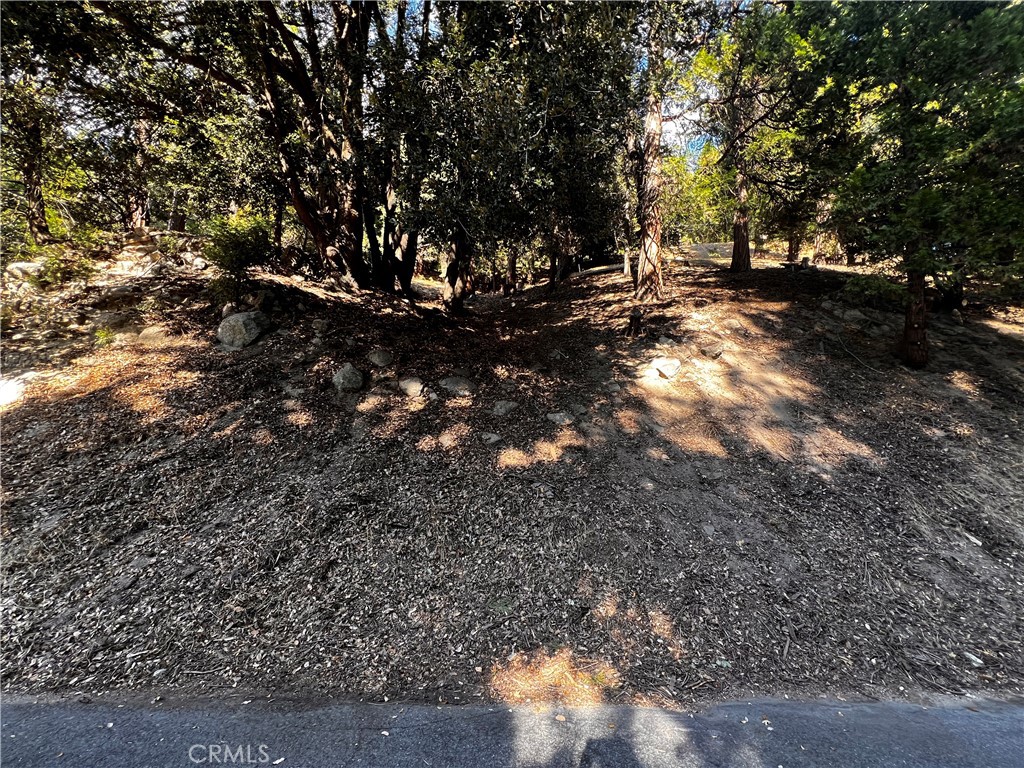 0 Arbula Dr./0 Valle Dr. Property Photo 10
