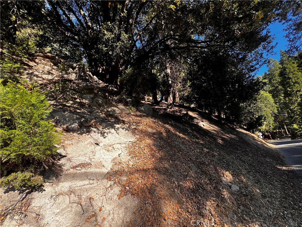 0 Arbula Dr./0 Valle Dr. Property Photo 11