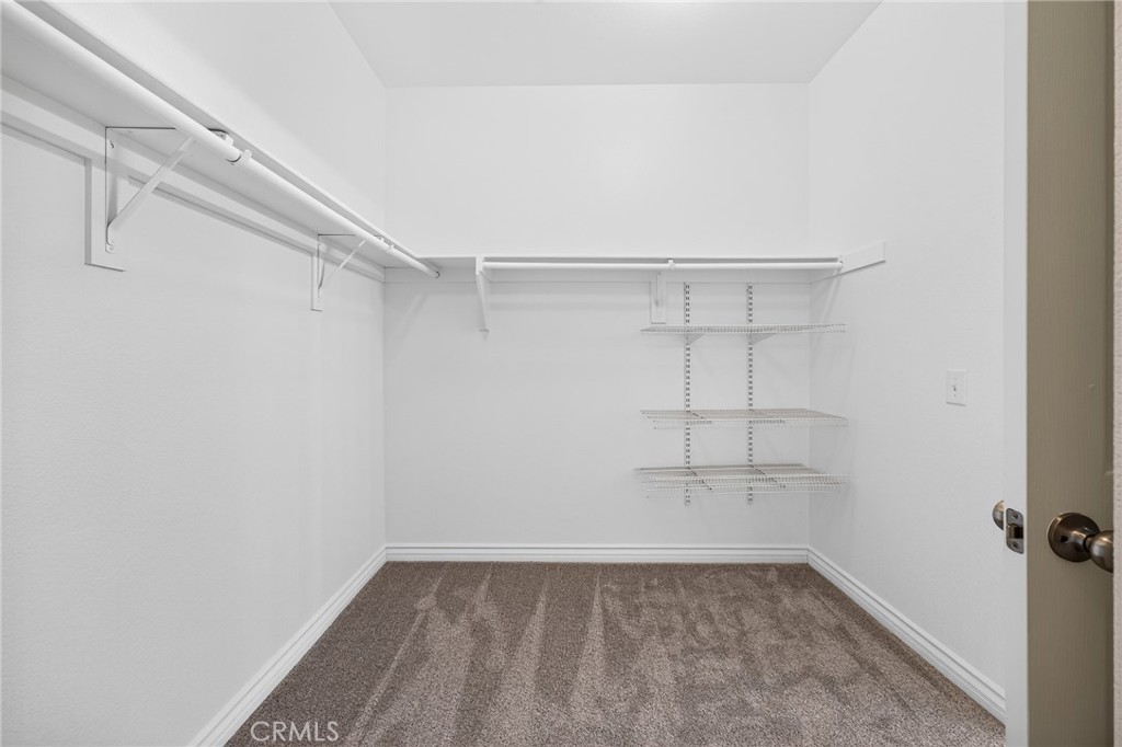 11869 Greenbluff Way Property Photo 34