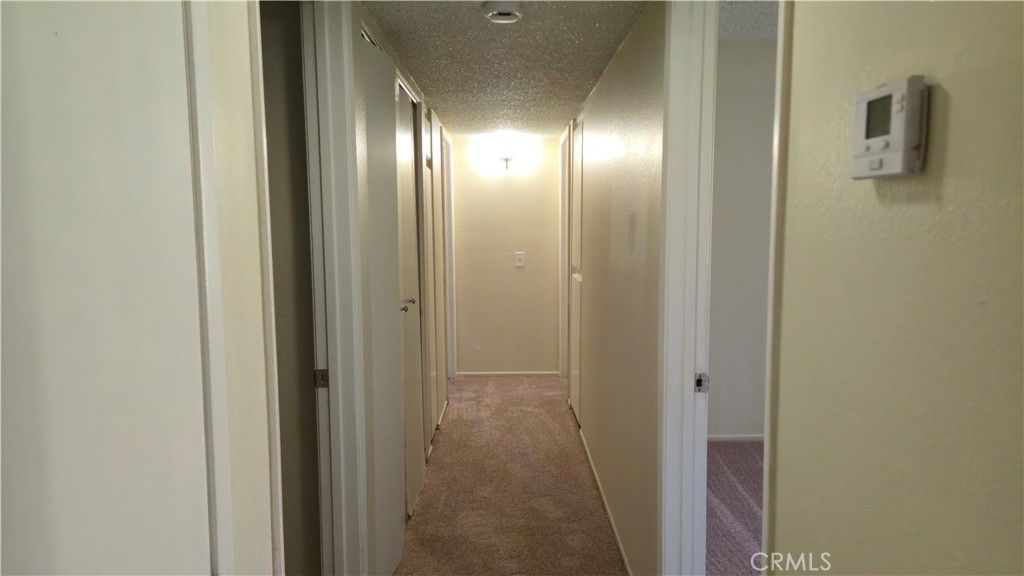 12420 Mount Vernon Property Photo 7
