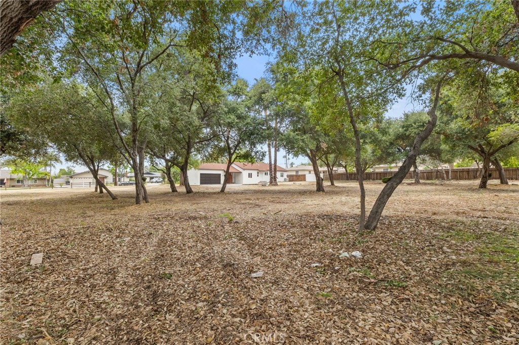 736 N Walnut Avenue Property Photo 36