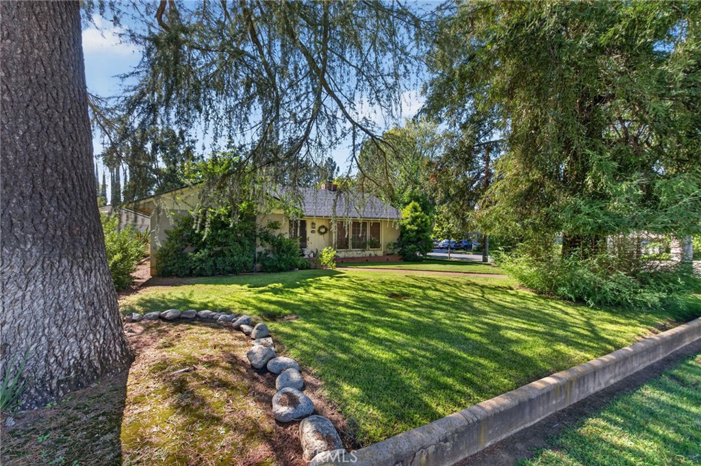 1000 Alvarado Street Property Photo 2