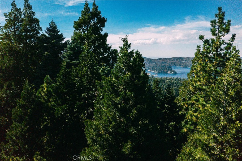 0 Cumberland Property Photo 2