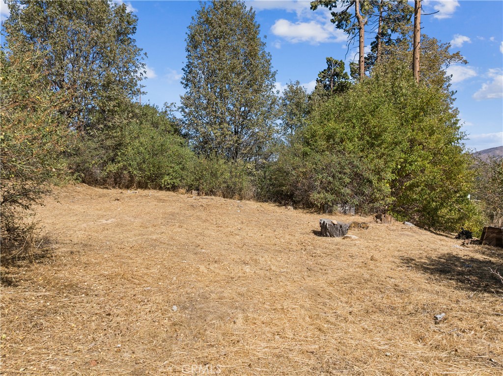 289 Glen Avon Drive Property Photo 2