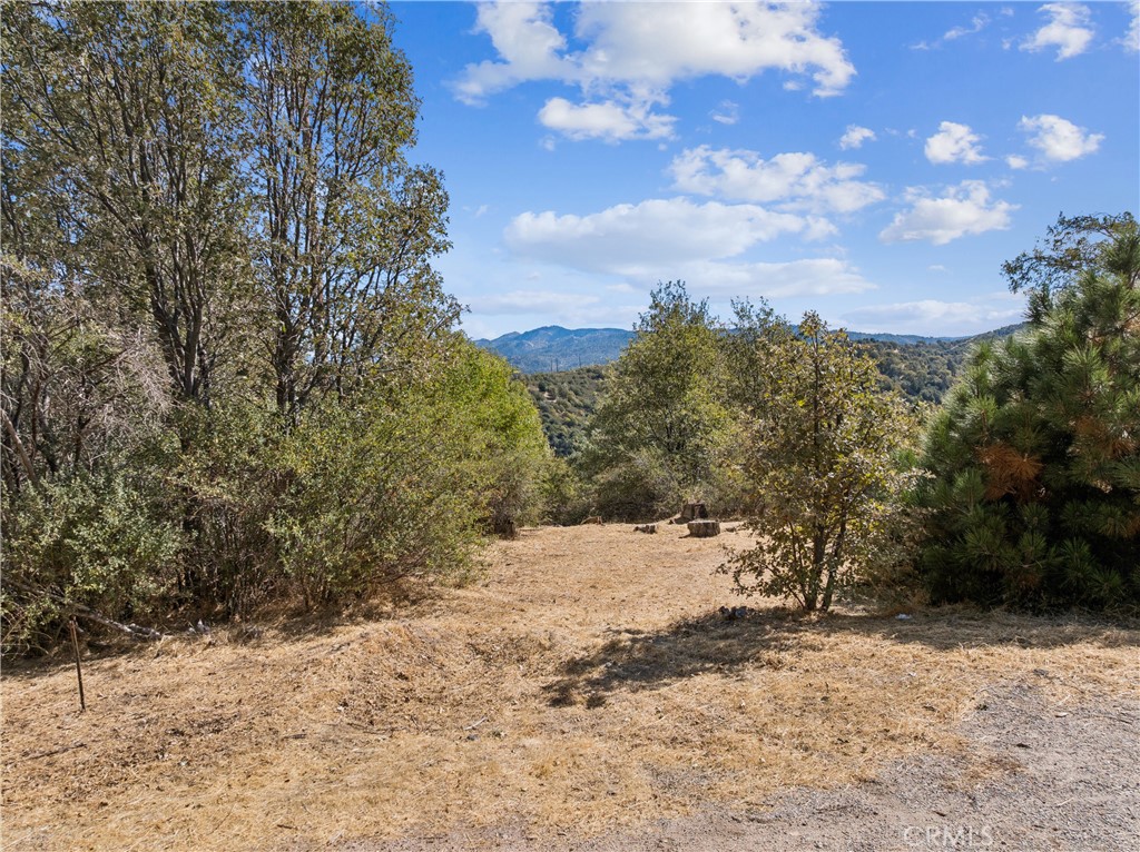 289 Glen Avon Drive Property Photo 3