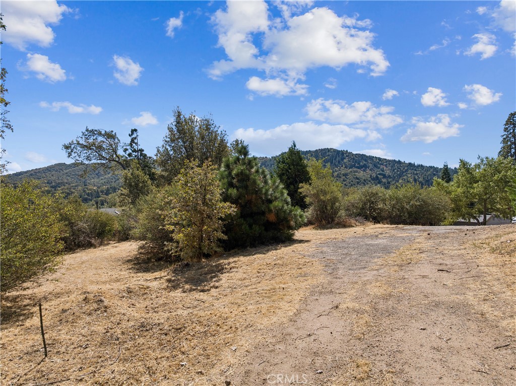 289 Glen Avon Drive Property Photo 6