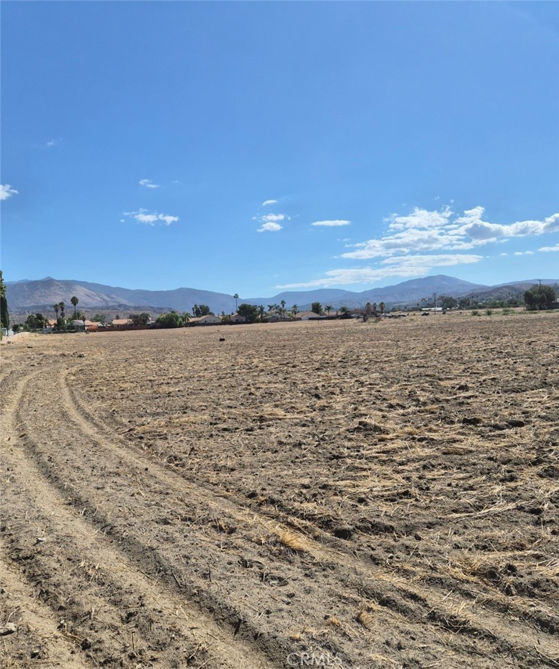 44010 Olive Property Photo 3