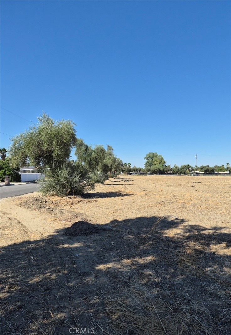 44010 Olive Property Photo 3
