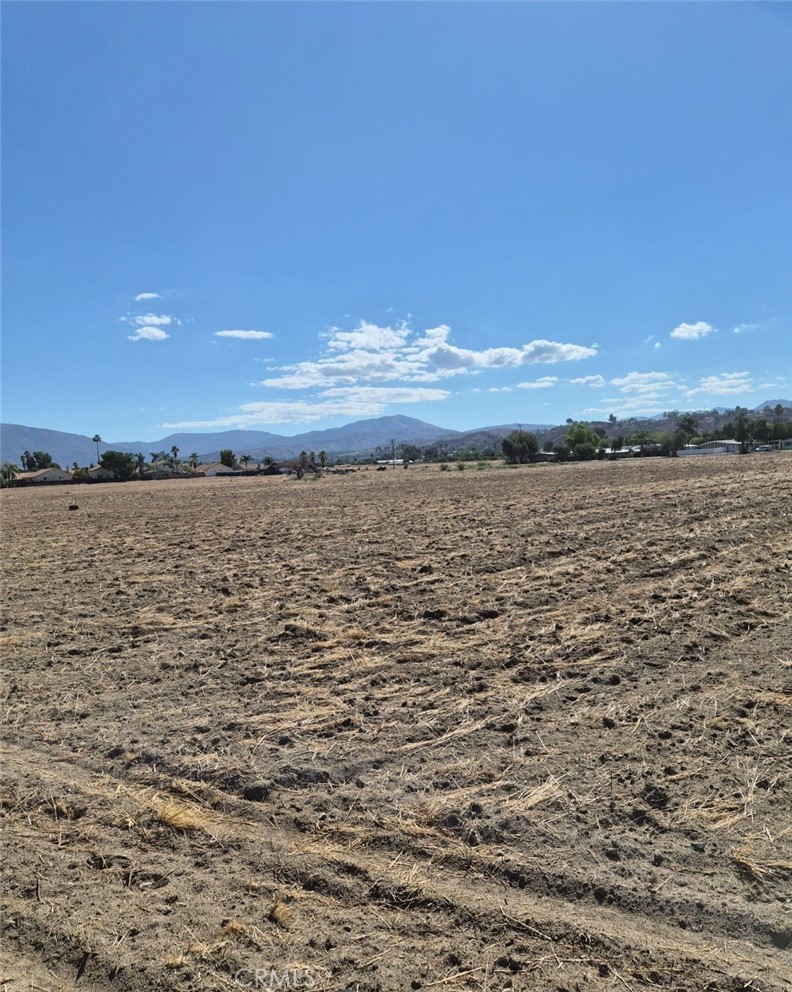 44010 Olive Property Photo 4