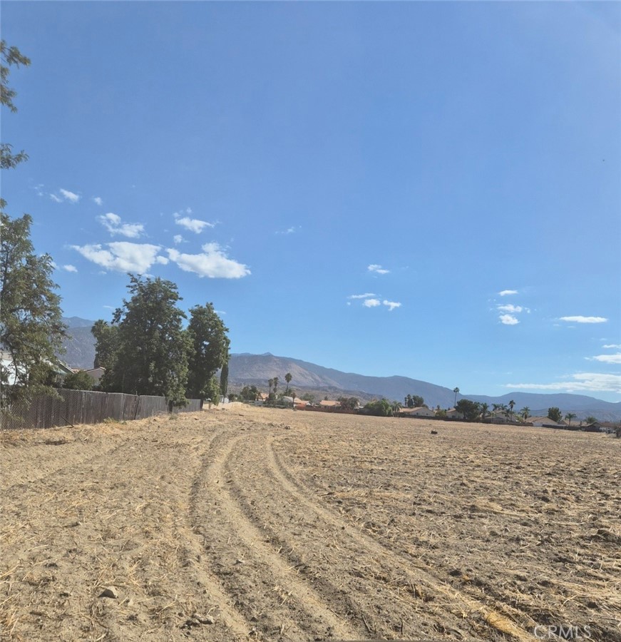 44010 Olive Property Photo 4