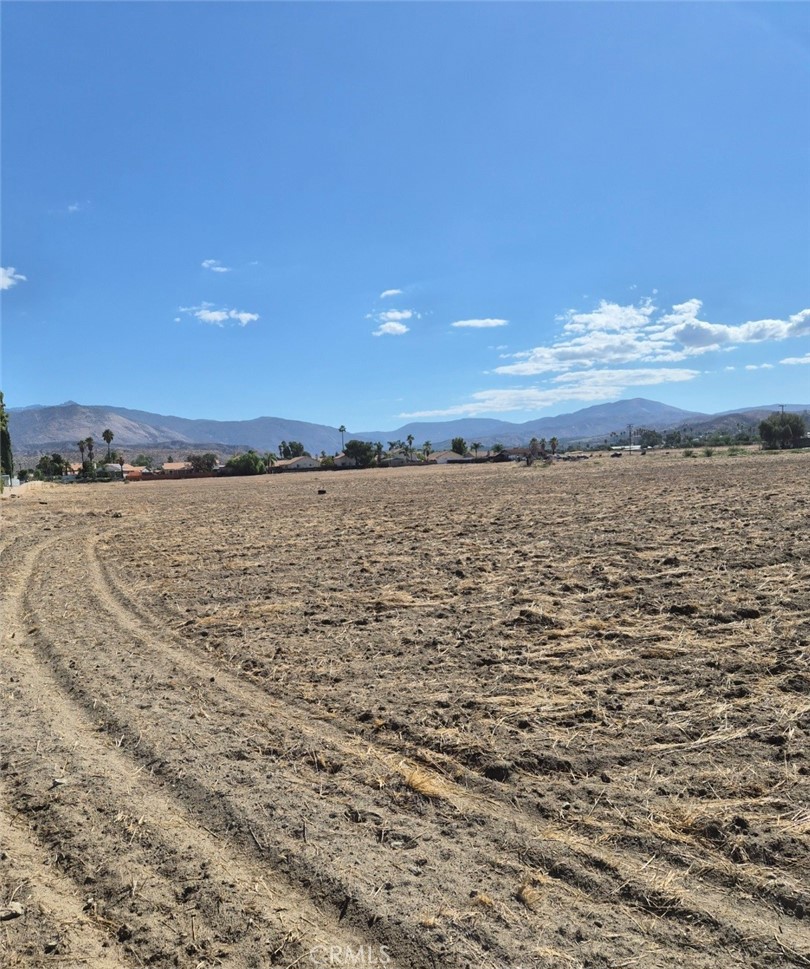 44010 Olive Property Photo 5