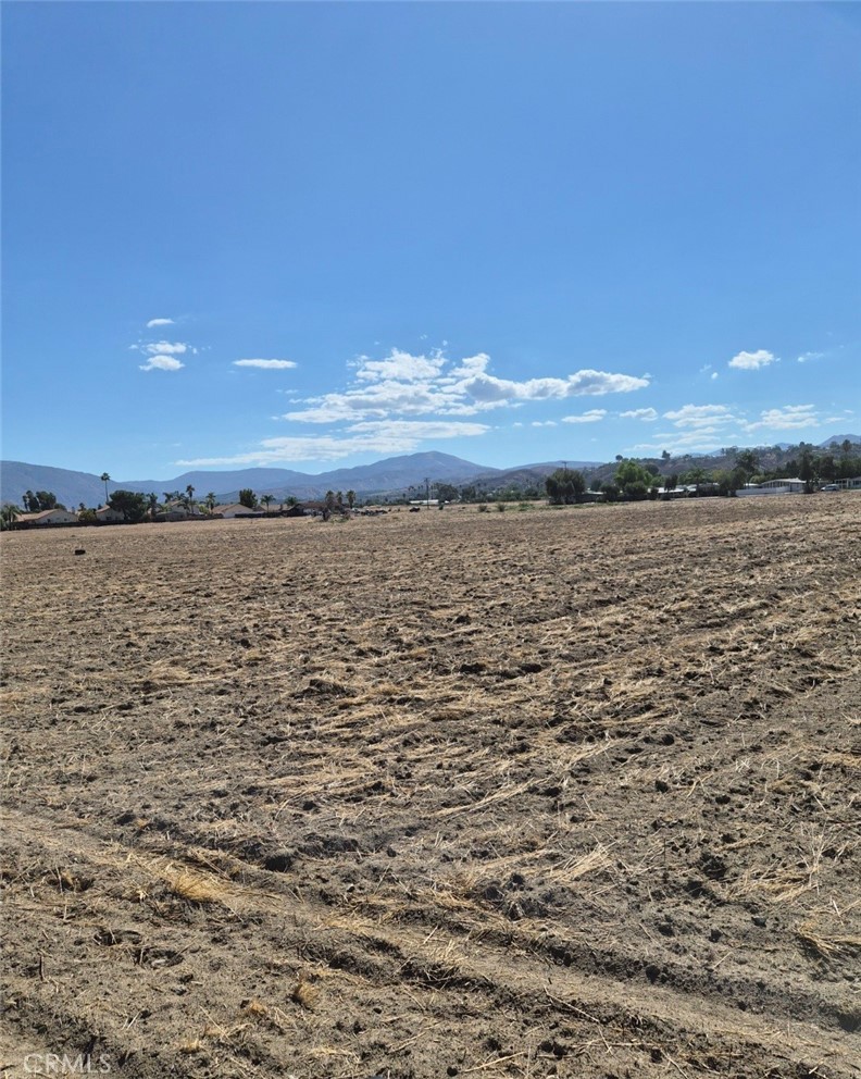 44010 Olive Property Photo 6