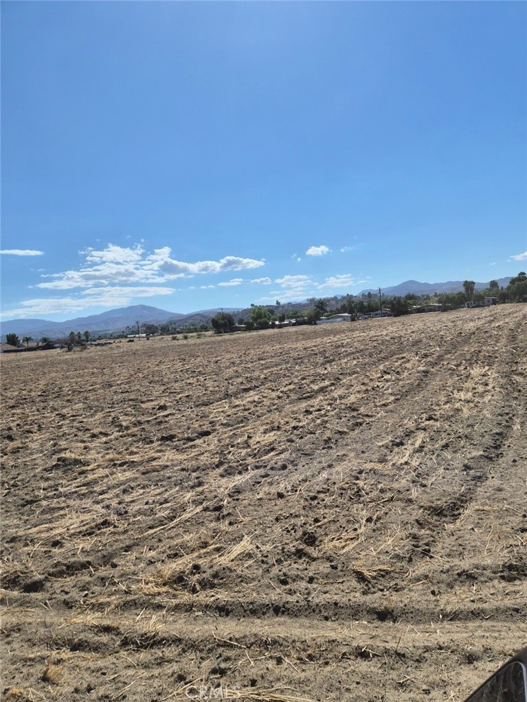 44010 Olive Property Photo 7