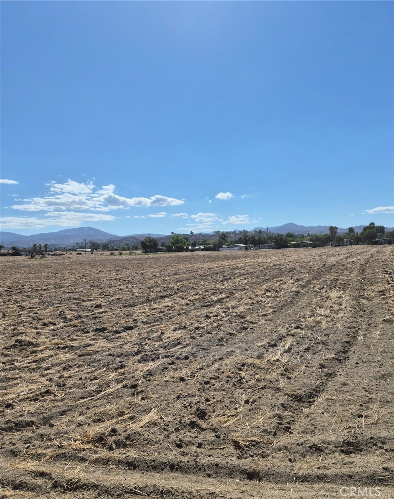 44010 Olive Property Photo 7