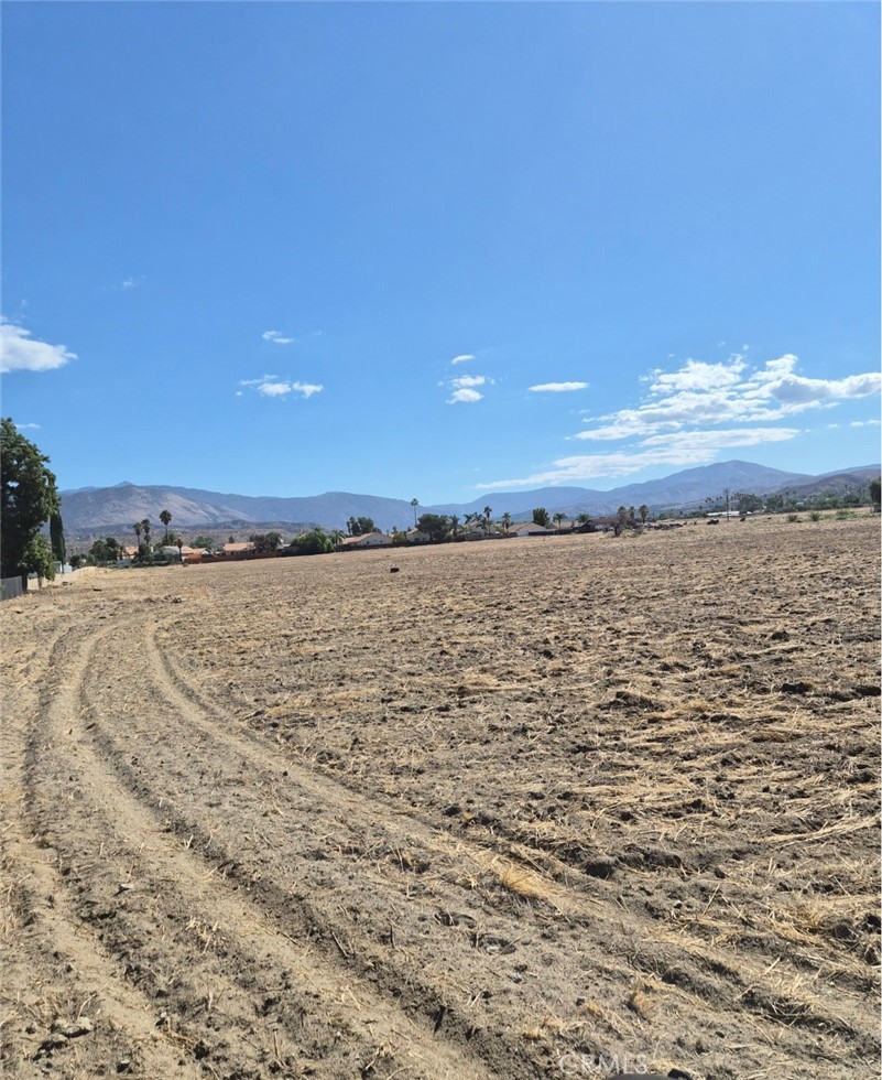 44010 Olive Property Photo 8