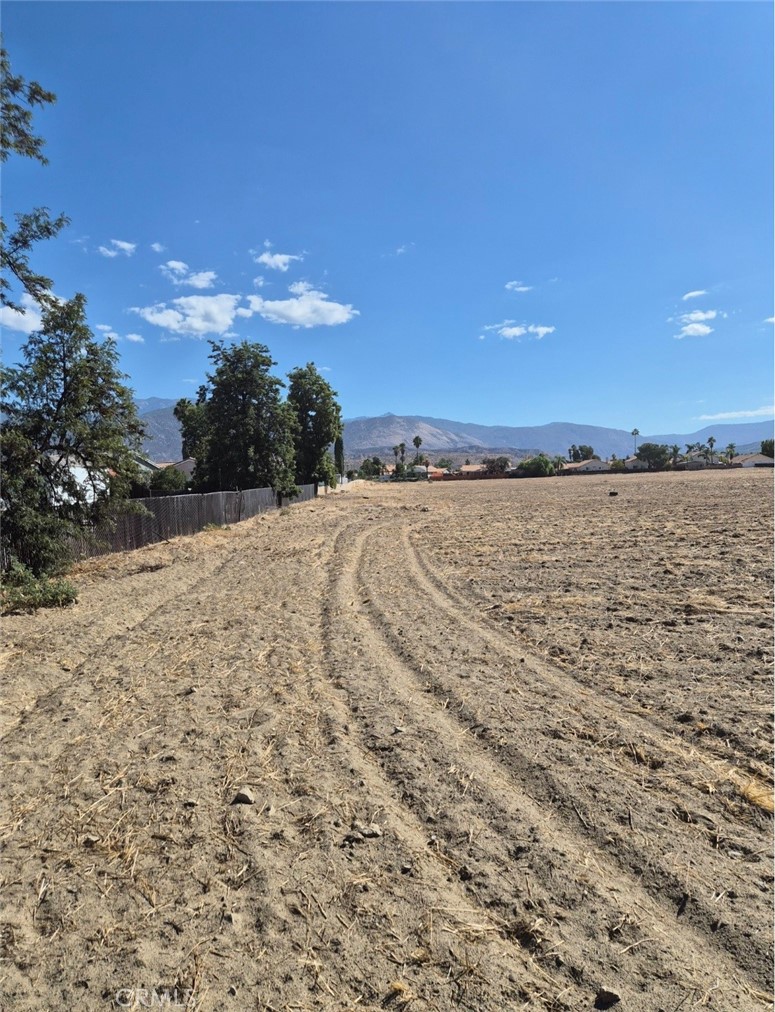 44010 Olive Property Photo 9