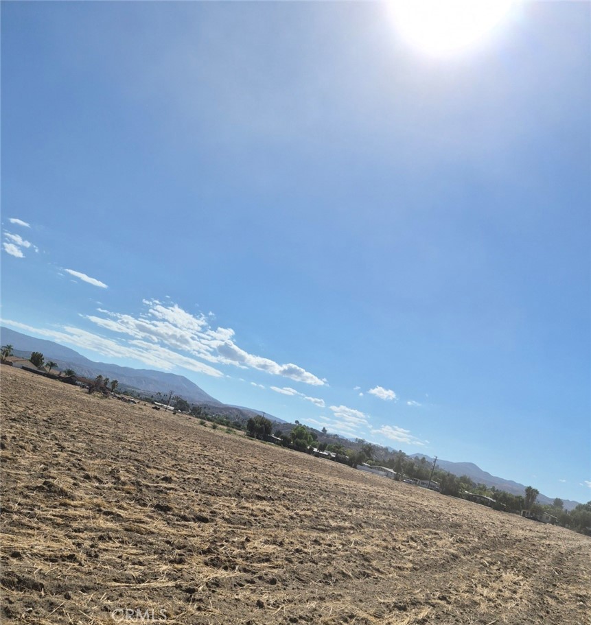 44010 Olive Property Photo 11
