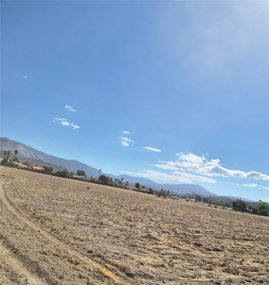 44010 Olive Property Photo 12