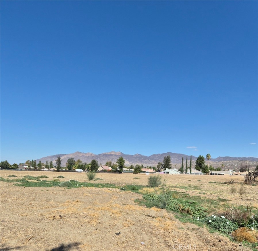 44010 Olive Property Photo 13