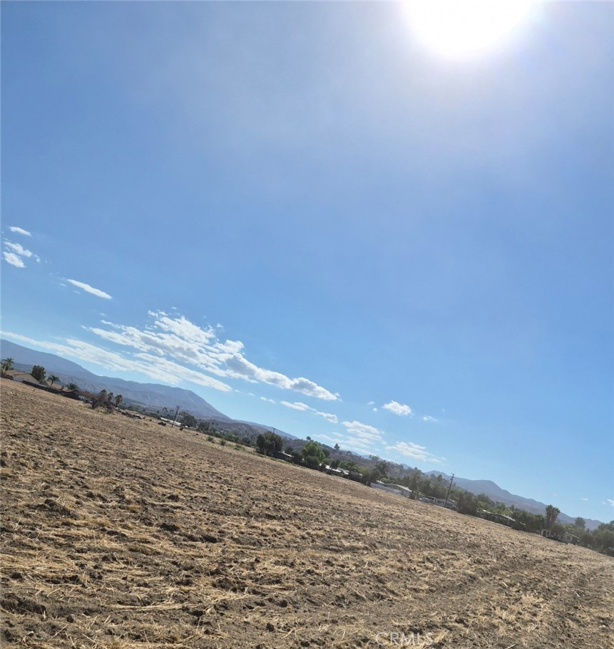 44010 Olive Property Photo 13