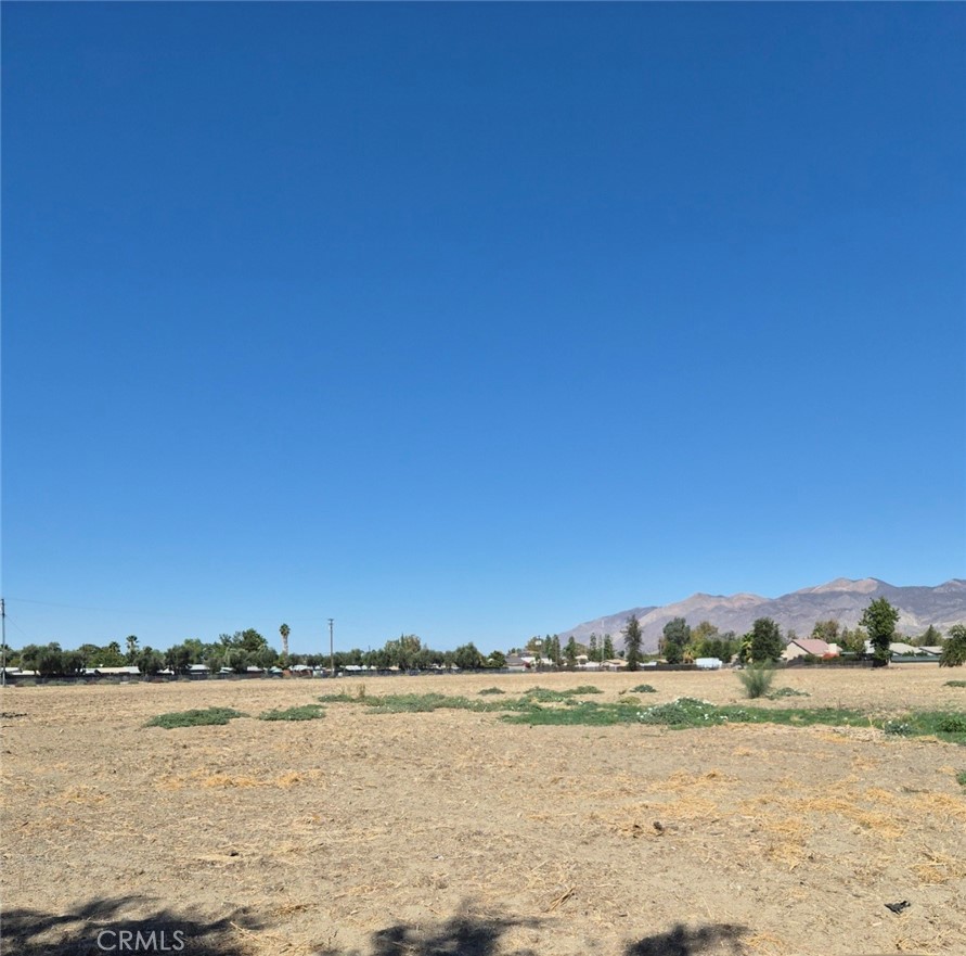 44010 Olive Property Photo 14