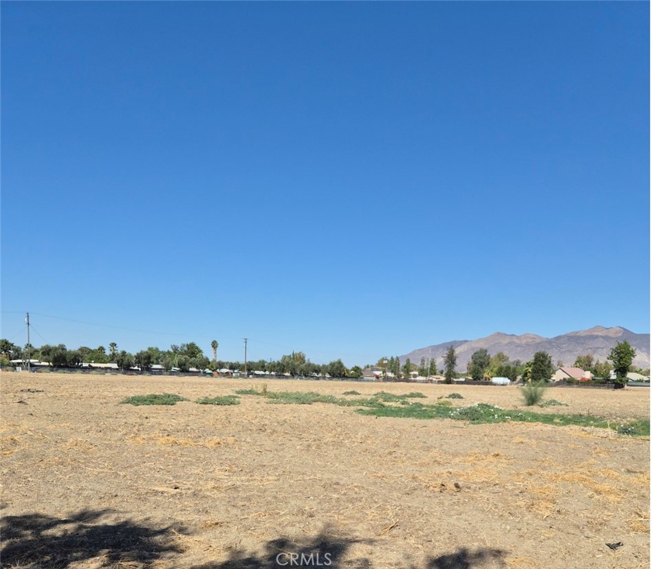 44010 Olive Property Photo 15