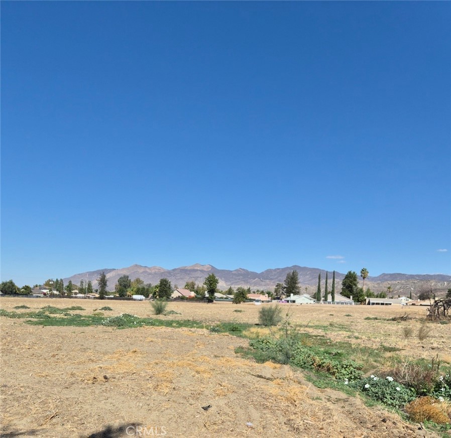 44010 Olive Property Photo 15
