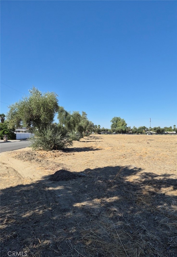 44010 Olive Property Photo 16