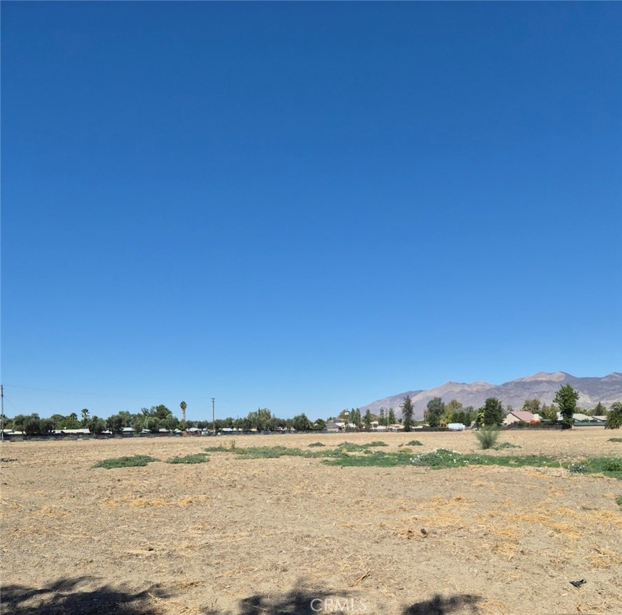 44010 Olive Property Photo 16
