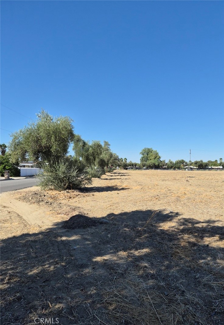 44010 Olive Property Photo 18