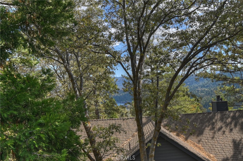230 Shasta Property Photo 32