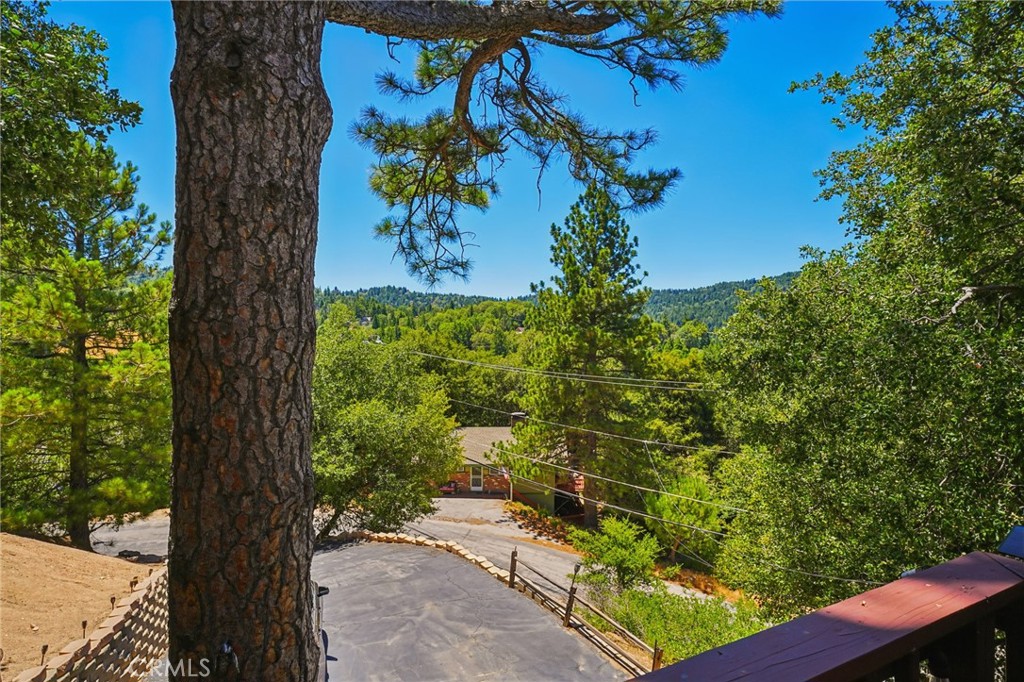 463 Delle Drive Property Photo 3